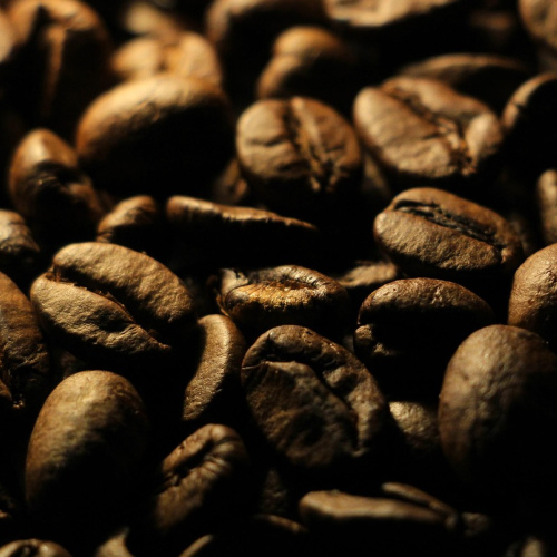 Barako Coffee Beans 500g